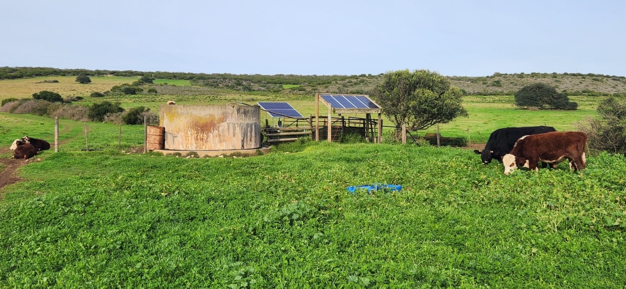 0 Bedroom Property for Sale in Riversdale Rural Western Cape